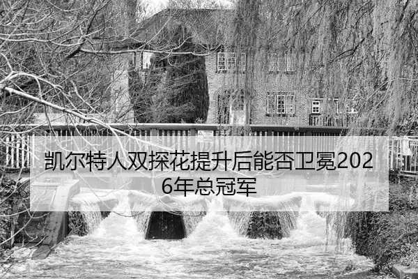 kai-er-te-ren-shuang-tan-hua-ti-sheng-hou-neng-fou-wei-mian-nian-zong-guan-jun-2-574.jpg
