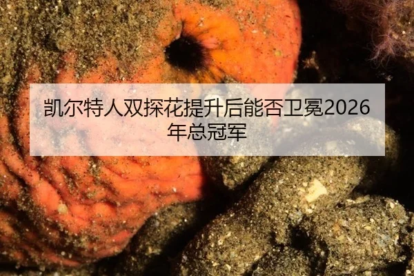 凯尔特人双探花提升后能否卫冕2026年总冠军